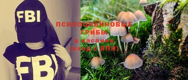 шишки Пестово