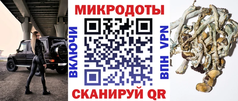 купить закладку  Электроугли  Галлюциногенные грибы MAGIC MUSHROOMS 